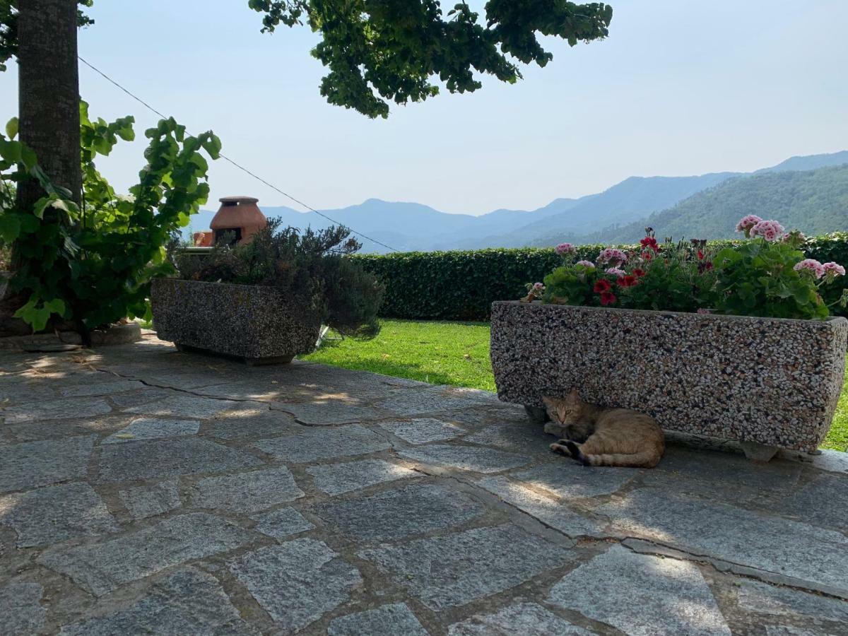 Agriturismo Gli Ulivi Garlenda Exteriör bild